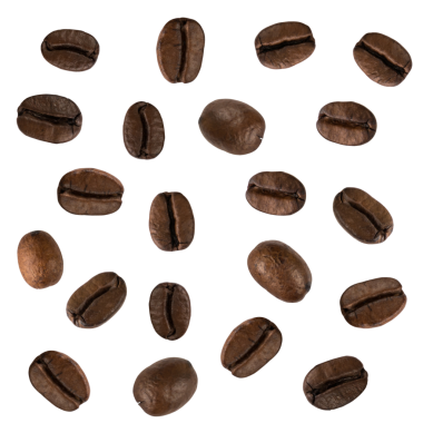 Olgun kahve çekirdekleri, yakın plan. 