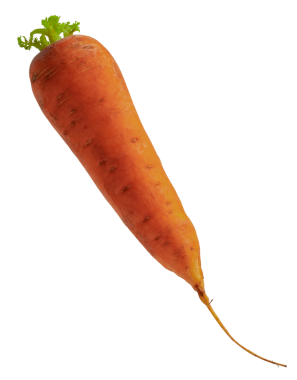 yeşil yapraklı olgun bir havuç