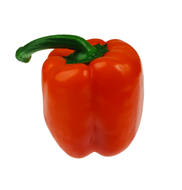 Dilimlenmiş kırmızı dolma biber, beyaz arka planda izole edilmiş.