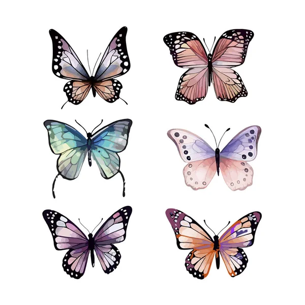 Tropik Kelebek Seti Tasarımcılar Için Beyaz Arka Planda Renkli Kelebek — Stok Vektör