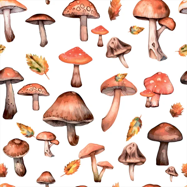 Padrão Cogumelos Padrão Sem Costura Outono Ilustração Realista Cogumelos Padrão —  Vetores de Stock
