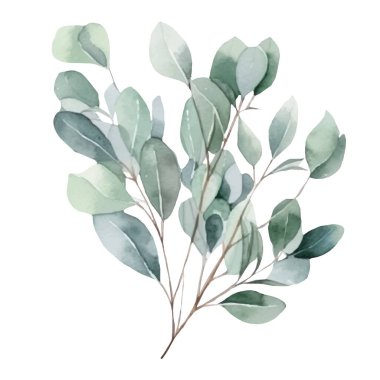 Okaliptüs. Metin alanı olan suluboya çiçek çerçevesi. Tasarımınız, basım kartlarınız, selamlarınız, zarflardaki çıkartmalarınız için teşekkür ederim..