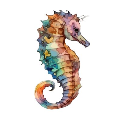 Beyaz arka planda izole edilmiş suluboya denizatı. Vektör illüstrasyonu.