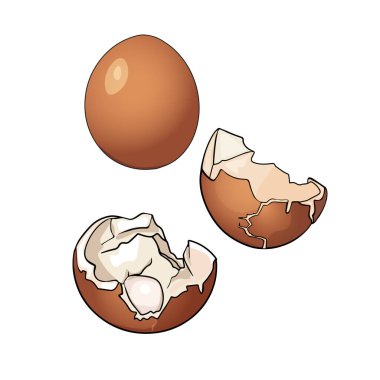Vektör illüstrasyon, yumurta seti, bütün ve kırılmış tavuk yumurtaları. Tasarımcı, logo, simge, etiket için boş. Beyaz bir arkaplanda izole edilmiş