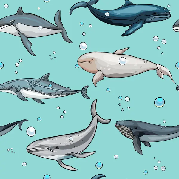 Çizimi Vektör Deniz Dünyası Deseni Balinalar Balinalar Yunuslar Baskı Için — Stok Vektör
