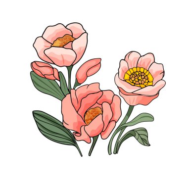 Vektör elle çizilmiş pembe çiçek karikatürü. Şakayık çiçeği, kalın ve birbirine bağlı çizgiler. Park ve bahçe çiçekleri. Çiçek dövmesi beyaz arkaplanda izole edilmiş