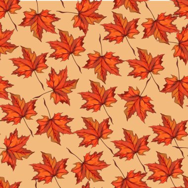 Sonbahar deseni. Yapraklar çok renkli. Sonbahar kusursuz desen