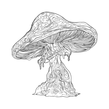 Beyaz arka planda sihirli bir mantarın vektör çizimi, karmaşık renk renklendirmesi, doğrusal sanat. Çizgi film mantarları. Arkaplan için yazdır, kumaşa, kağıda, duvar kağıdına, paketlemeye yazdır