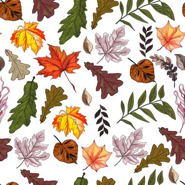 Sonbahar deseni. Yapraklar çok renkli. Kusursuz düşüş şekli. Sonbaharın renksiz deseni, dikenli yapraklar, el yapımı mürekkep.