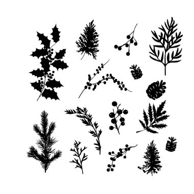 Holly, kozalak ve böğürtlen de dahil olmak üzere kış yaprakları siluetleri. Holly 'nin sunduğu kış yeşilliklerinin detaylı bir koleksiyonu