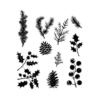 Holly, kozalak ve böğürtlen de dahil olmak üzere kış yaprakları siluetleri. Holly 'nin sunduğu kış yeşilliklerinin detaylı bir koleksiyonu