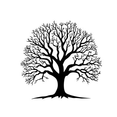 Karmaşık dalları olan siyah beyaz bir ağaç silueti