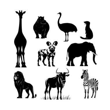 Beyaz arka planda Afrika vahşi hayatının siluetleri, zürafalar, zebralar ve gergedanlar. Siluetler