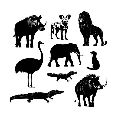 Beyaz arka planda Afrika vahşi hayatının siluetleri arasında zürafalar, zebralar ve gergedanlar var.