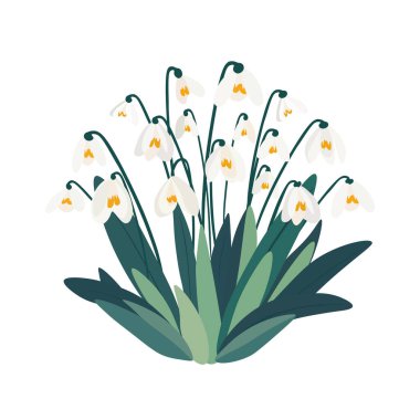 Yeşil Yapraklı Kar Damlası Resimleri. Yapraklı Zarif Kar Damlası Çiçekleri.