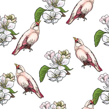 Seamless digital pattern featuring hand-drawn birds, flowers, blooming branches, and vintage-inspired botanical elements, perfect for textiles, wallpapers, and decorative designs clipart