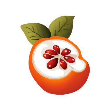 Kırmızı Tohum ve Yaprak ile yarım Mangosteen. Yaprak ve Tohumlu Egzotik Meyve Dilimi