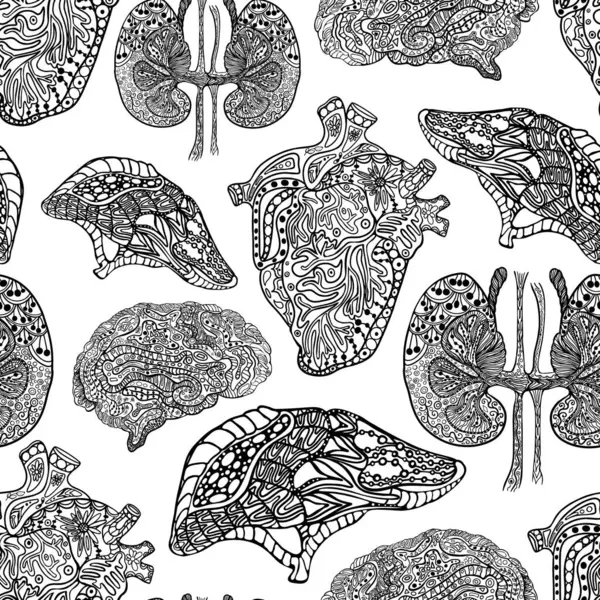 Kusursuz İnsan Organları Şablonu. Kalp, karaciğer, akciğer ve beyin. Ayrıntılı Anatomi Kusursuz Beyin ve Kalp Vektörü