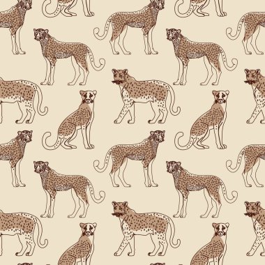 Klasik Safari Çita Hayvan Baskısı. El çizimi benekli çitalar bej, pürüzsüz desenli safariyi tekrarlıyorlar.