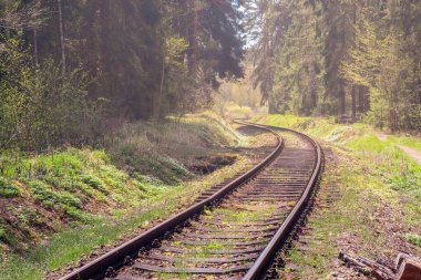 Tren yolu - tren, yaz ormanlarında kıvrımlar etrafında rüzgarı takip eder.