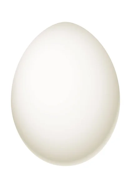 Яйце Векторна Ілюстрація Білого Яйця Ізольовано Білому Тлі — стоковий вектор