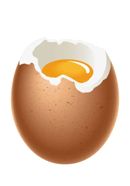Eieren Zacht Gekookt Met Schaal Wit Dooier Vectorillustratie Geïsoleerd Witte — Stockvector
