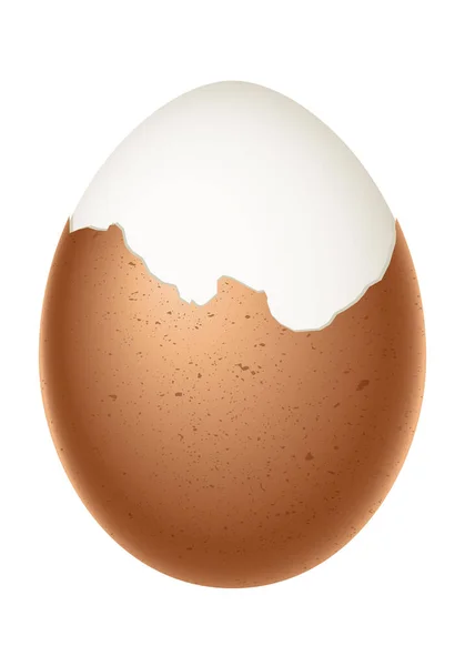部分剥皮蛋 煮鸡蛋 半剥皮壳 在白色背景上孤立的图解 — 图库矢量图片