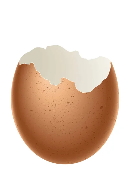 Eierschale Vektordarstellung Der Zerbrochenen Eierschale Isoliert Auf Weißem Hintergrund — Stockvektor