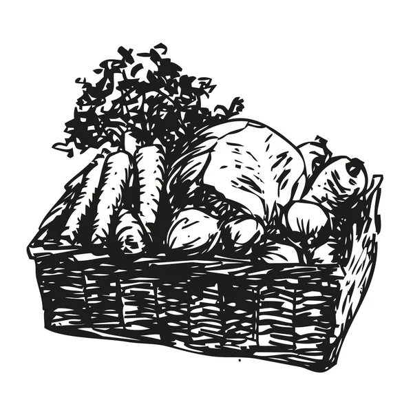 Vegetable Basket Vegetables Wicker Basket Black White Vector Illustration — Stock Vector