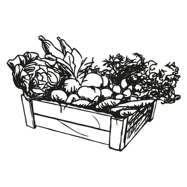 Sebze Kutusu Sebzeli Ahşap Kutu Siyah Beyaz Vektör Çizimi — Stok Vektör