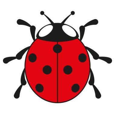 Yedi noktalı uğur kuşu, yedi noktalı uğur böceğinin renkli vektör çizimi, beyaz arka planda izole edilmiş.