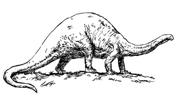 ブロントサウルス恐竜 白い背景に隔離された黒と白のベクターイラスト — ストックベクタ