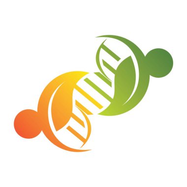 DNA ve Yaprak Logosu Vektör Simgesi Tasarımı