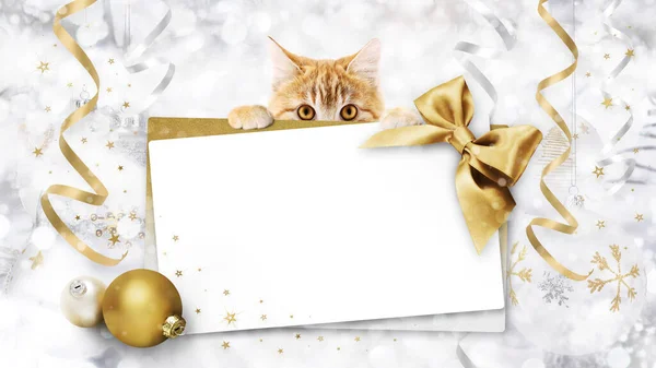 가게에서는 크리스마스 승차권에 고양이와 빛나는 이들어 있으며 보케등에 리본으로 배경을 — 스톡 사진