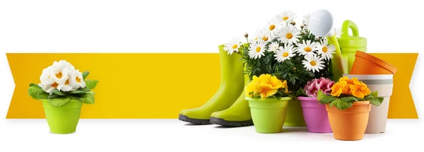 园林化工具设备 横幅与复印空间 橡胶靴 花和浇水可以在白色的背景上隔离 花店或温室购物广告模板 — 图库照片