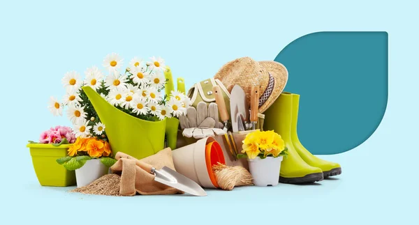 Gardening tool equipment, banner with copy space. Daisies, rubber boots, pot, flowers and watering can isolated on light blue background. Shopping advertising template for florist shop or greenhouse