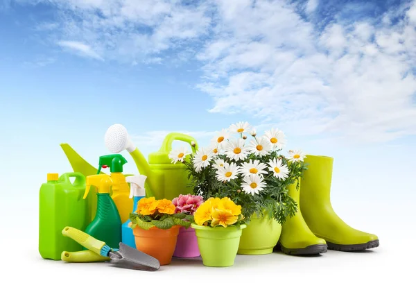 Gardening tool equipment. Daisies and colorful primroses, flowers pots, green rubber boots and watering can, garden trowel, spray bottles of pesticides and fertilizers isolated on sky background