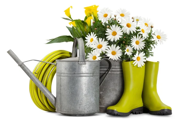 デイジーはヴィンテージバケツ 散水缶 ホース ゴムブーツに植えます 春の時間 庭の花や園芸機器や花屋ショップ クリッピングパスを持つ白い背景に隔離されたフロントビュー — ストック写真