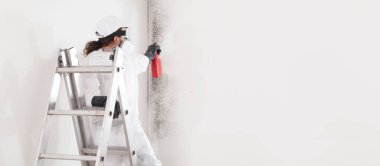 Profesyonel küf temizleme servisi: koruyucu elbise giyen merdivende çalışan, oda boyama çalışmasından önce küflü duvarı temizlemek için ürün püskürten. Kopya alanı için büyük boş duvarı olan ev yenileme sitesi