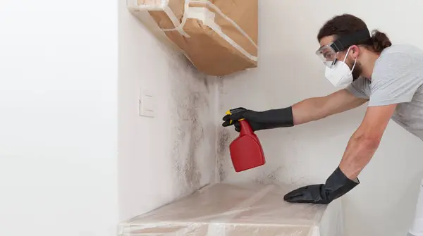 stock image Man worker spraying product on wall to remove mold, wearing protective gloves and a respirator mask, using a spray bottle. Remediation of moldy wall before house painting at home renovation site