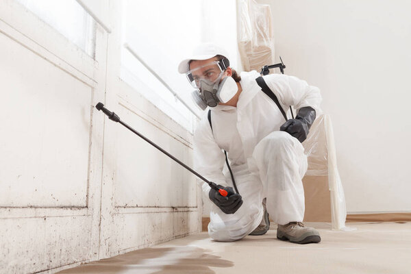 Mold remediation service: A professional worker spraying products to remove mold before house painting, clad in a protective suit and respirator mask, with a backpack sprayer at a home renovation site