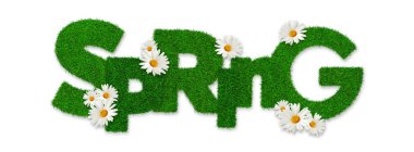 Bahar metni harfleri çimen yeşili desen efekti ile papatya çiçekleri, beyaz arka planda izole