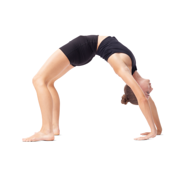 Sanatsal jimnastik eğitimi alan genç bir kadın, esnek ritmik jimnastikçi pozlar veriyor ve beceri ve yetenek gösteriyor, spor antrenmanı, fitness ve refah konsepti, beyaz arka planda izole edilmiş.