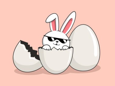 Rabbit Easter Egg - Cute Bunny Eggs with Sunglasses