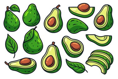 Avokado Set Doodle Tohum Avokado Dilimleri Yarı Resimler