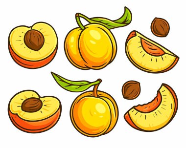 şeftali meyvesi çizimleri şeftali karalaması el çizimi