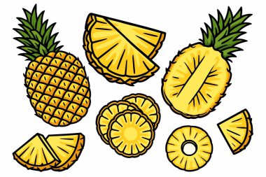Ananas çizimleri yarım dilimlenmiş ananas karalaması