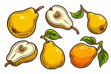 Armut çizimleri yarım dilimlenmiş armut karalaması