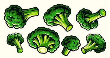 Brokoli Resimleri Vektörü Yeşil Brokoli Grubu Ayarları