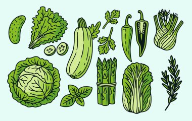 lahana sebze vektör illüstrasyonları kuşkonmaz toplama grubu
